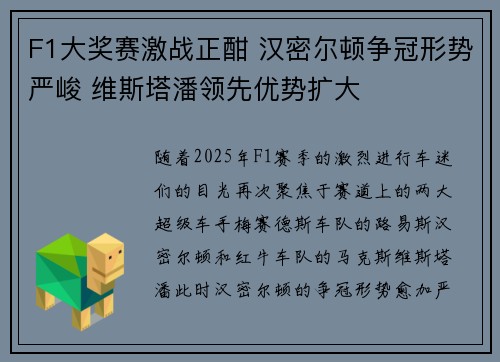 F1大奖赛激战正酣 汉密尔顿争冠形势严峻 维斯塔潘领先优势扩大