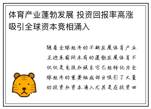体育产业蓬勃发展 投资回报率高涨 吸引全球资本竞相涌入